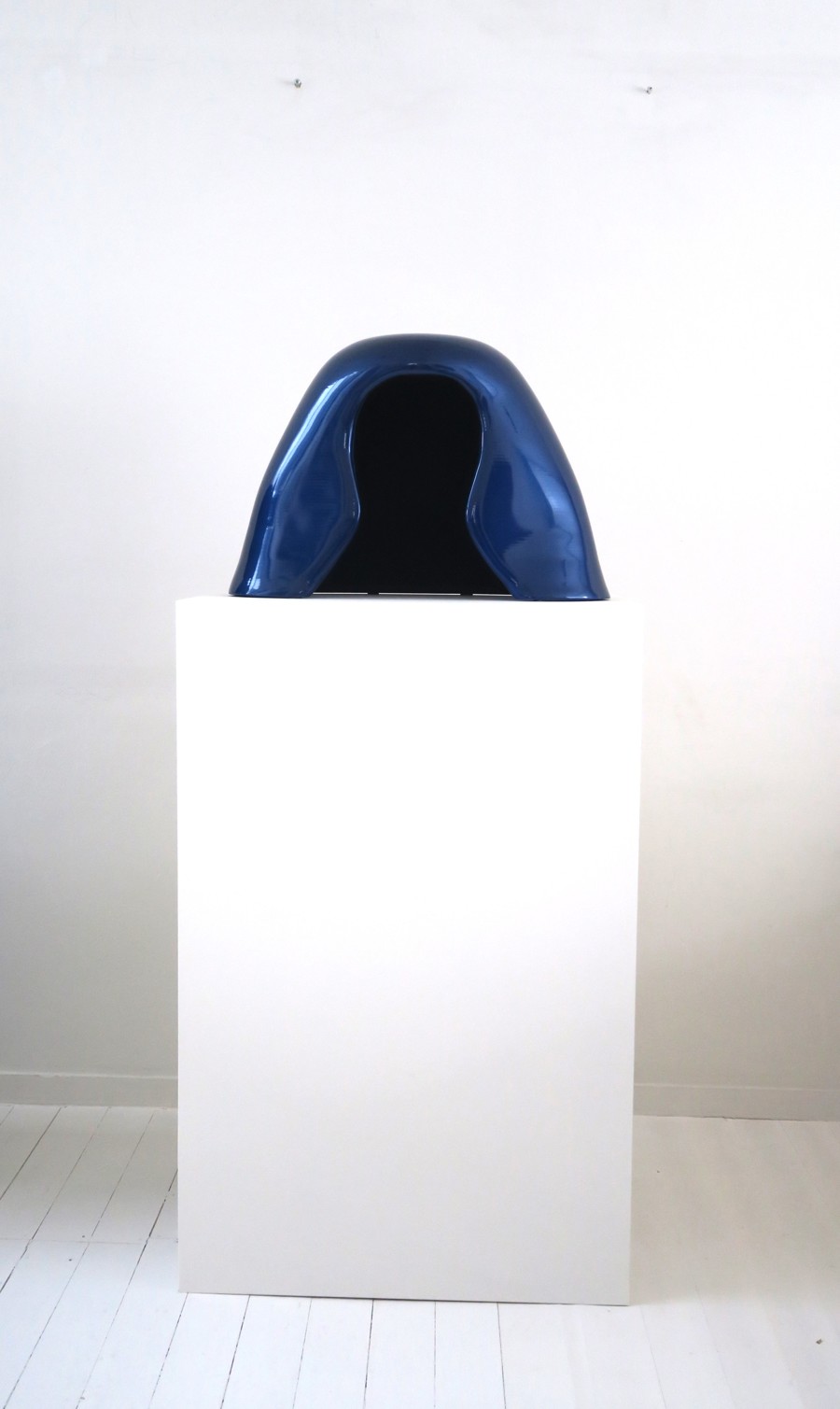 Brainprotector 2017 hout flock lak